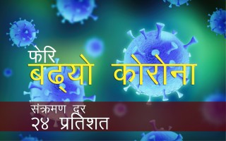 बढ्यो संक्रमण, संक्रमणदर २४ प्रतिशतमाथि, गण्डकी र प्रदेश १ जोखिममा
