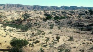 जलवायु परिवर्तन : खतराकाे घण्टी -संयुक्त राष्ट्र संघ