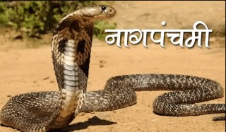 पुरानो सर्प सँस्कृतिकाे निरन्तरता हाे आजको नाग पञ्चमी ?