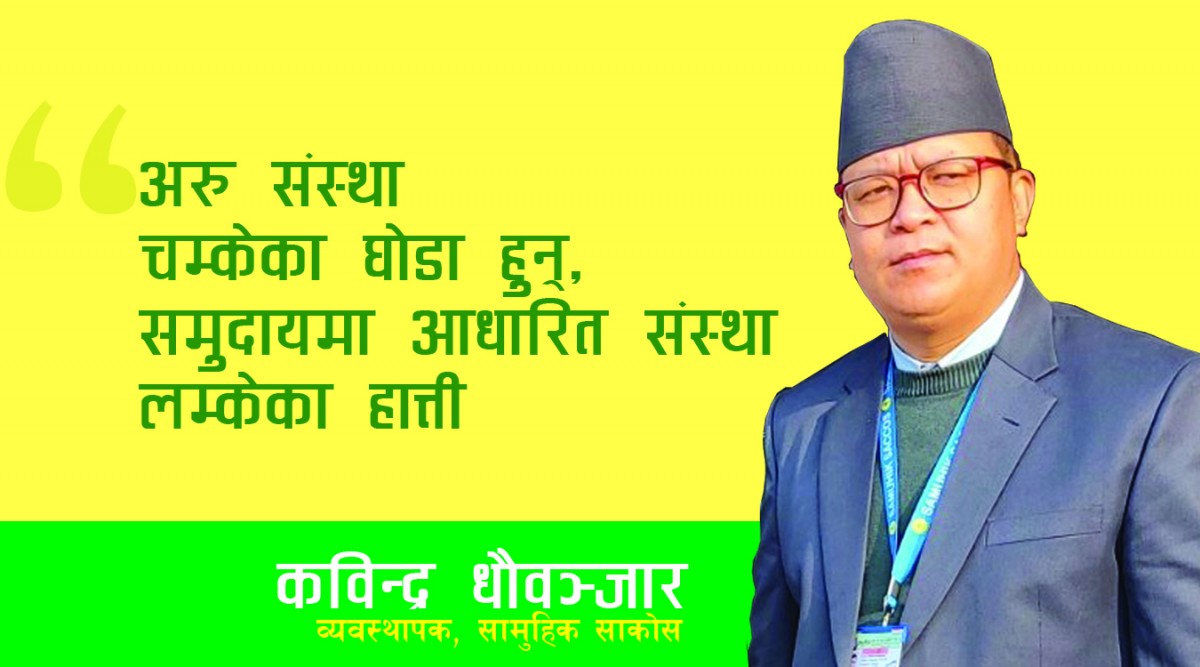" सहकारीको संख्या धेरै हुनुमा समुदाय, सहकारीकर्मी र सरकार सबै दोषी छन् "