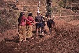 jotdaikisan.jfif