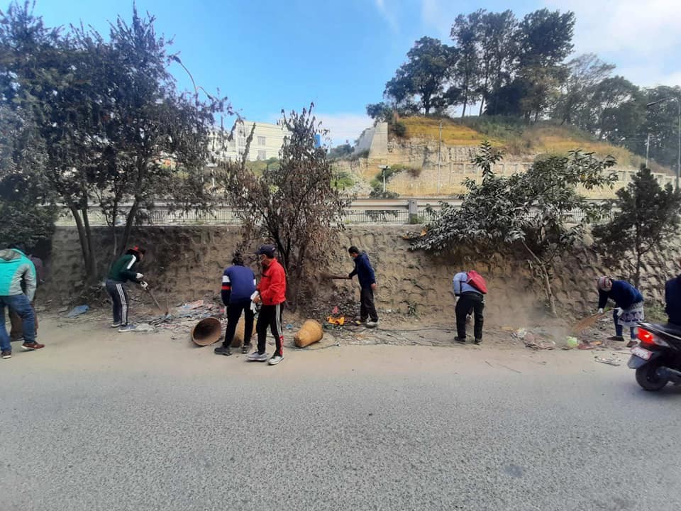 sar safai.jpg