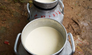 दुग्ध उत्पादकहरूको ८ बुँदे माग, पुरा नगरिए चरणवद्ध आन्दोलन गर्ने