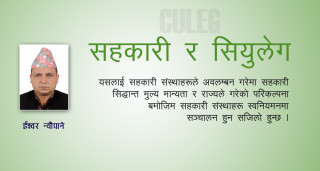 सहकारी र सियुलेग