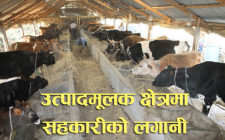 उत्पादनमूलक क्षेत्रमा सहकारीको ५० प्रतिशत लगानीः कति छ सम्भव ?