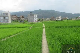  अब सरकारी जग्गा लिजमा लिन पाइने,मन्त्रालयले जारी गर्यो कार्यनिति