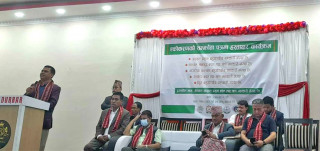 पाँच संस्थाबीच एकिकरण गरी बन्यो नेशनल आइडल यमुना साकोस
