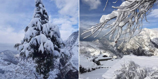 हुम्ला लिमीकाे उवा खेती हिमपातले ठूलाे क्षाति