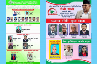 सहकारी बैंकको निर्वाचनमा अनौठो प्रतिष्पर्धा, सबैले भन्छन् “म उप्रेतीको प्यानलकै” 