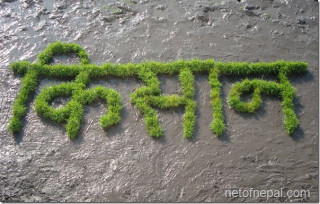 डीडीसमा भइरहेकाे कराेडाैंकाे घाेटाला  बिरूद्ध ४ किसान संगठनहरुको बिराेध बक्तब्य