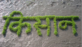 आमूल सामाजिक रुपान्तरणका निम्ति कृषि क्रान्तिको आवश्यकता