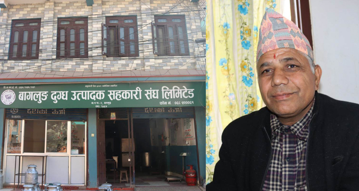 दुध उत्पादनमा सक्रिय बाग्लुङका  सहकारी, दैनिक ३ हजार लिटर गर्छन उत्पादन