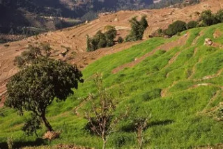  जग्गाको वर्गीकरण छिटो सक्न   स्थानीय तहलाई  मन्त्रालयको आग्रह