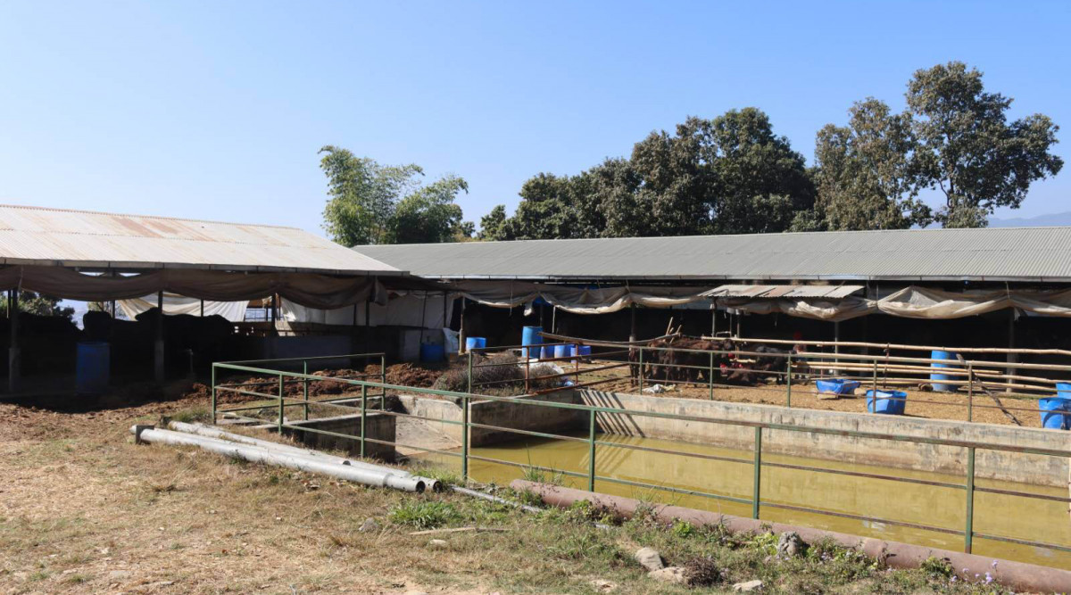 kahukot firm.jpg