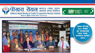 पोखरा रोयल साकोसमा युवाको सहभागिता ४३ प्रतिशत