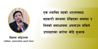 सहकारीमा समस्या किन आयो ? समाधान कसरी ?