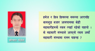 किन समस्यामा परे यी सहकारी संस्था