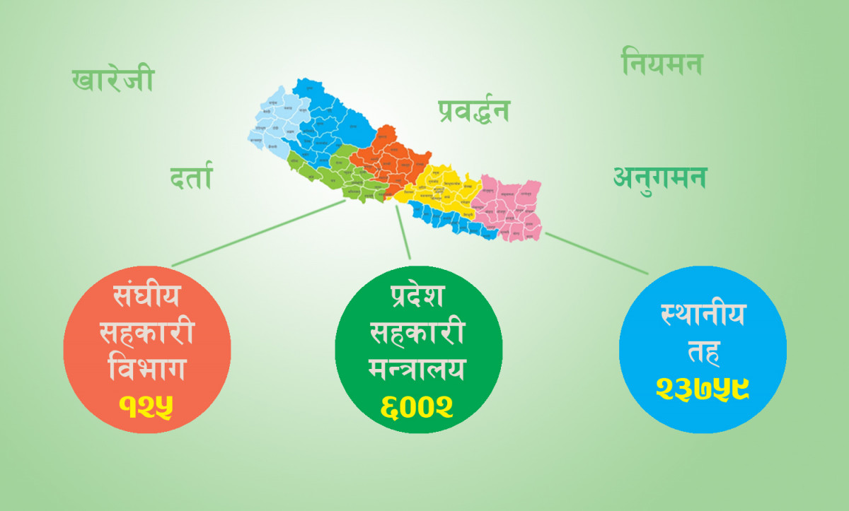 सहकारी हेर्ने तीन तहका सरकार, अवस्था झनै भद्रगोल 