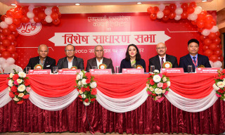 एनएलजी इन्स्योरेन्स कम्पनीले ६६ प्रतिशत हकप्रद सेयर जारी गर्दै