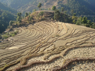 नयाँ सरकारको सेवाः  अब जग्गा रोक्का र फुकुवा बैंकबाटै
