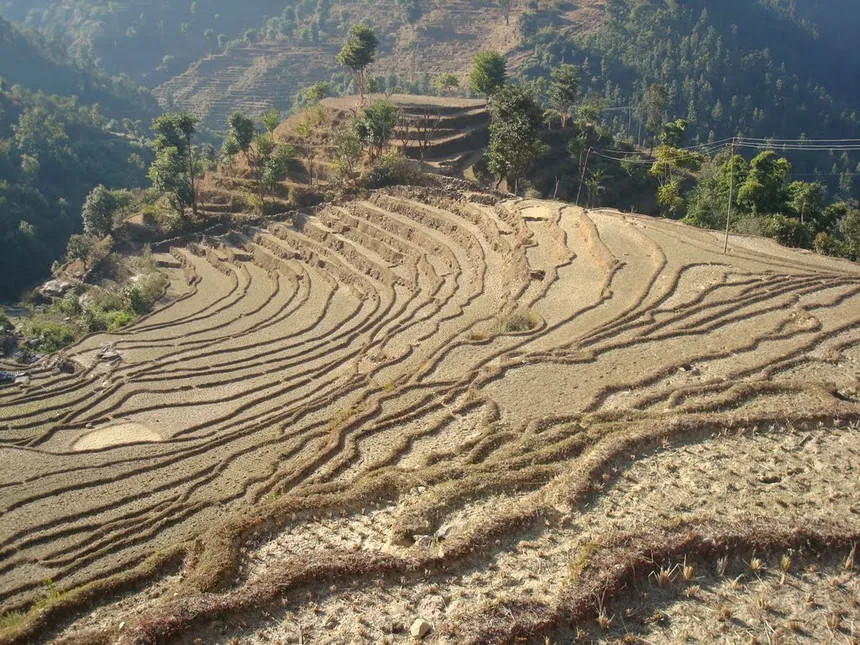 नयाँ सरकारको सेवाः  अब जग्गा रोक्का र फुकुवा बैंकबाटै