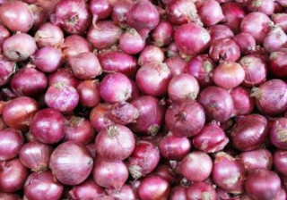 भारतले प्याजकाे निर्यात मूल्यमा ४० प्रतिशत शुल्क लगायाे