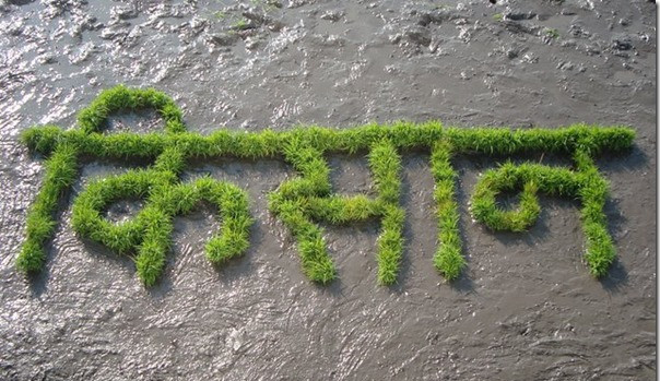 एमसीसी सम्झौता फिर्ता गर – ४  किसान संगठन