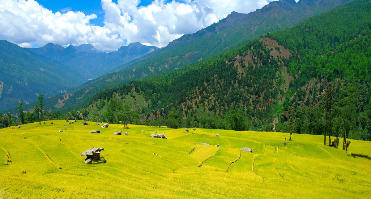 बैंकिङ पहुँच बाहिर ७५ प्रतिशत कृषक, सहकारीबाट ऋण लिने ३१ प्रतिशत