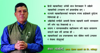 ‘वित्तीय प्रणाली बाँच्ने आधार भनेकै विश्वास हो, सदस्यको विश्वास टुटेकाले सहकारी संस्थाहरु समस्यामा परे’