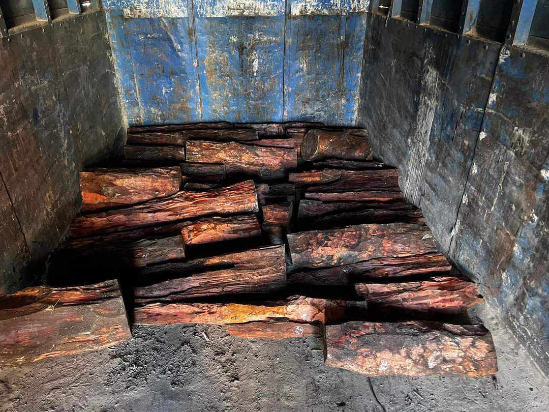 बहुमूल्य काठ रक्त चन्दन सहित आठ जना पक्राउ