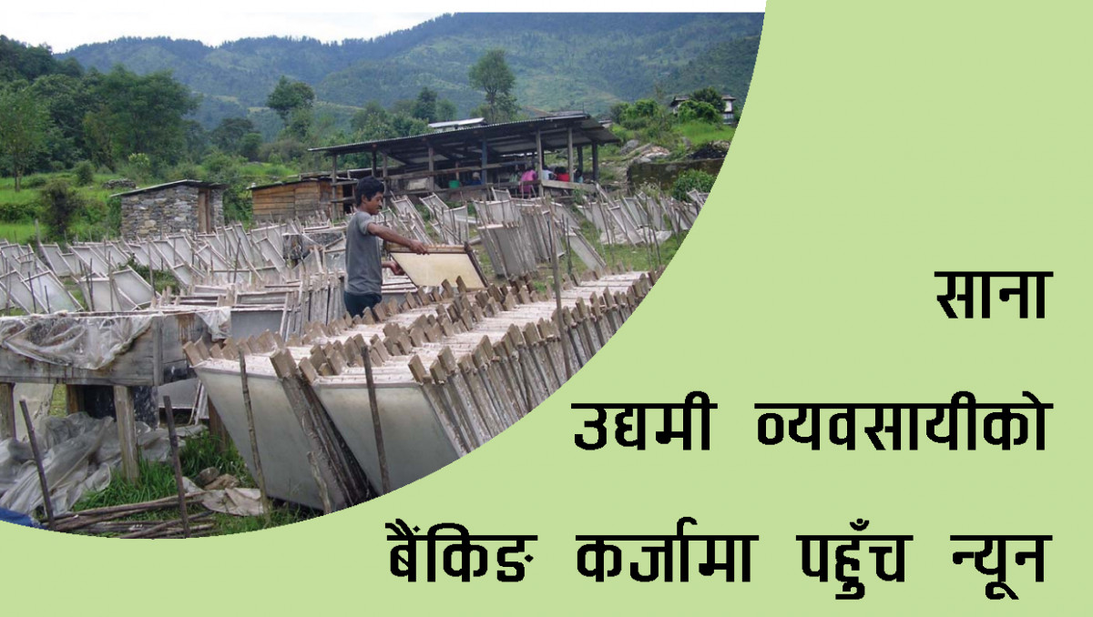 बैंकिङ कर्जामा साना उद्यमी व्यवसायीकाे पहुँच न्यून