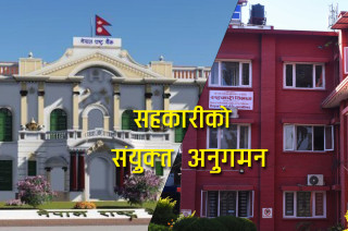 संयुक्त टाेलीले थाल्याे सहकारी अनुगमन, पहिलाे चरणमा यी संघसंस्थाबाट शुरू