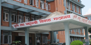 विदेशबाट दुध तथा दुग्धजन्य पदार्थ आयात गर्न राेक