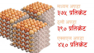 अण्डाको समर्थन मूल्य तोकियो, मध्यमको प्रतिक्रेट ३७५ रुपैँया