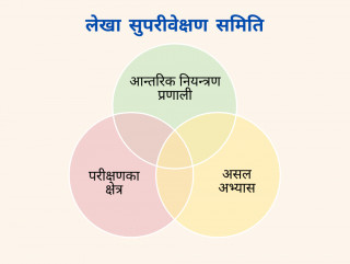 लेखा सुपरीवेक्षण समितिले के काम गर्ने, किन गर्ने