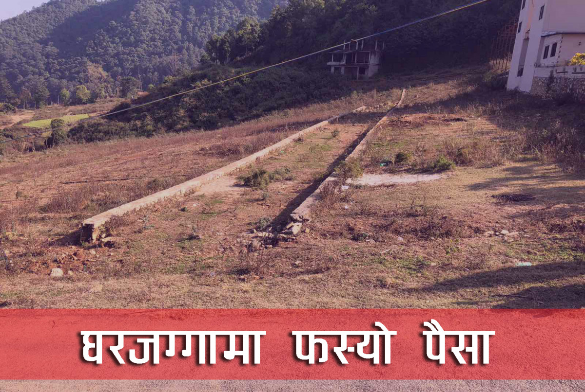 घरजग्गामा अधिक लगानी सहकारी संकटको कारण, फस्यो डेढ खर्ब लगानी