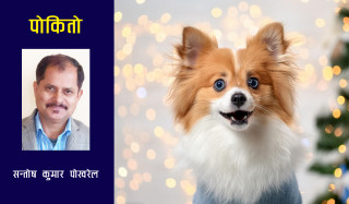 पोकितो