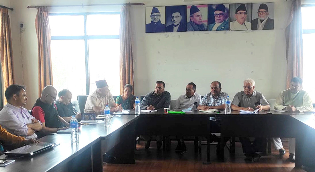 दैनिक उपभोग्य बस्तुको गुणस्तरसँग सम्झौता हुनुहुँदैन : नेपाली कांग्रेस