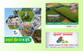 एकल अंकमा ऋण प्रवाह गर्दै सहकारी, तरलता बढेसँगै थप लगानी कहाँ  गर्ने  भन्ने चिन्ता