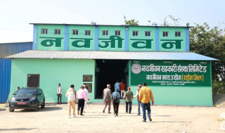 नवजीवन सहकारी संस्थाले  बजारमा ल्यायो चामल