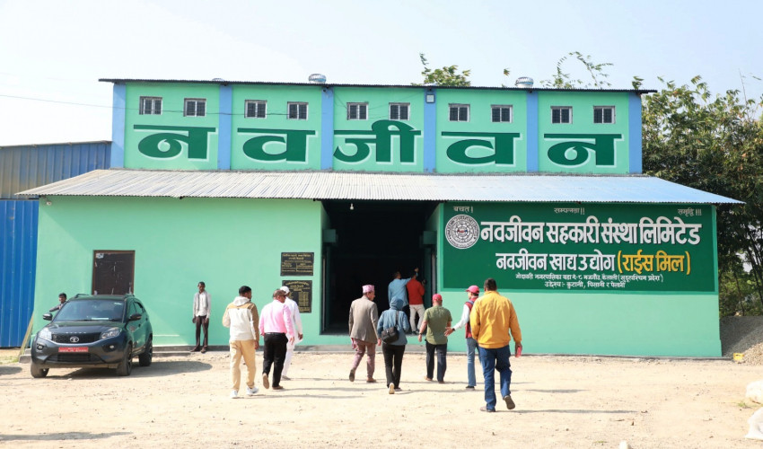 नवजीवन सहकारी संस्थाले  बजारमा ल्यायो चामल