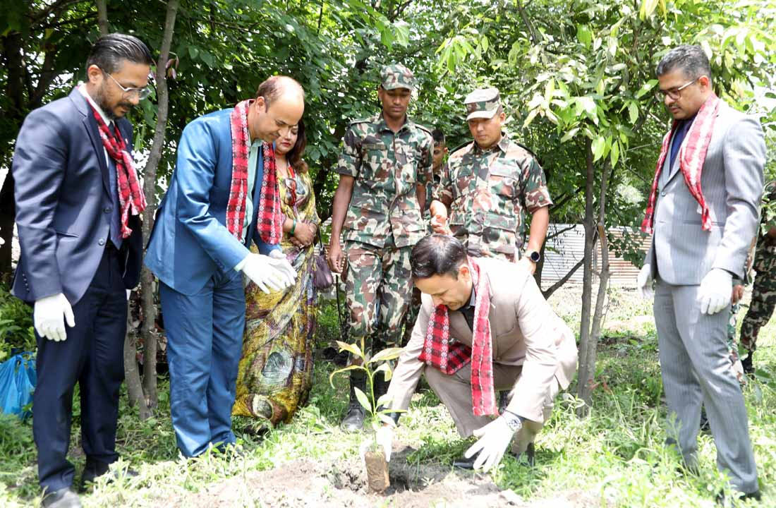 ग्लोबल आइएमई बैंकद्वारा विश्व वातावरण दिवसको अवसरमा   बृक्षारोपण