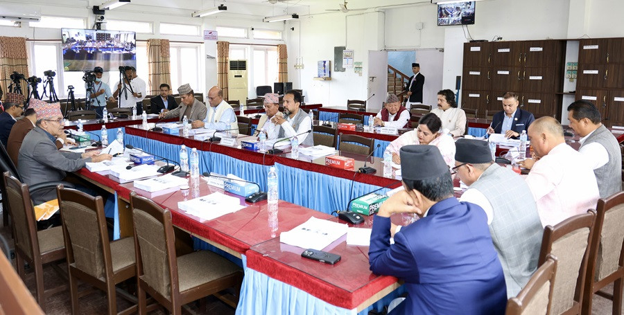 लेखा समितिको वार्षिक प्रतिवेदन पारित