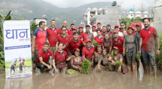 ग्लोबल आइएमई बैंकद्वारा राष्ट्रिय धान दिवसको अवसरमा “धान खेती कर्जा” सार्वजनिक