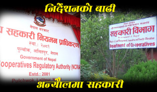 सहकारीका लागि एकपछि अर्को निर्देशनको ओइरो, प्राधिकरणपछि विभागले पनि जारी गर्‍यो निर्देशन