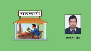 सहकारी संस्थाले नियमनकारी निकायमा कहिले र कुन विवरण पेश गर्ने