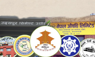 सबै सार्वजनिक संस्थानलाई कम्पनीमा रूपान्तरण गर्ने सरकारकाे नीति