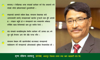 “बचतऋणको कारोबार गर्न गठन भएका संघहरुलाई वित्तीय कारोबार नगर भन्नु गलत हो”