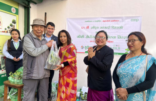 सुयोग्य साकाेसद्वारा कौशी खेतीका लागि निःशुल्क विरुवा वितरण