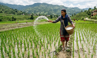 बेलैमा मलकाे जाेहाे गर्ने सरकारी तयारी, भारतसँग खरिद प्रकिया अघि बढ्याे